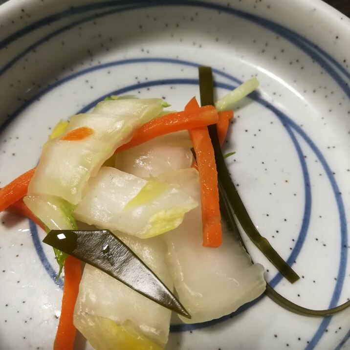 昆布茶使用！！白菜と人参の浅漬け